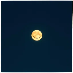 Half a Smile