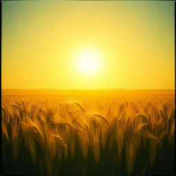 Hymn of the Shining Fields