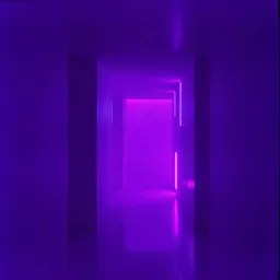 Neon Shadows
