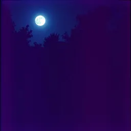 In the garden (extended)