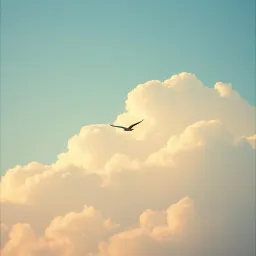 Let Me Fly Free