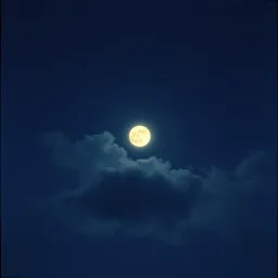 Ibu