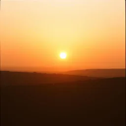 Nalingi Yo