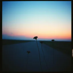 Lost in Love