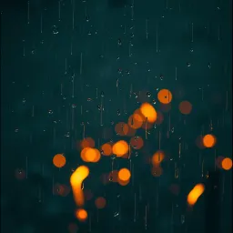 The raindrop