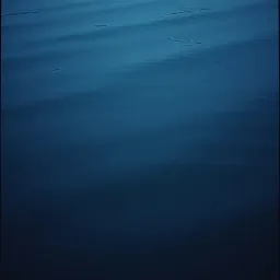 Тёмные воды