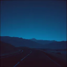 The skies