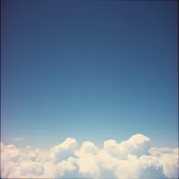 Dream of Paradise