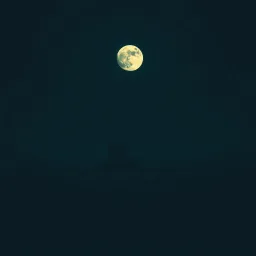 夜の静寂に
