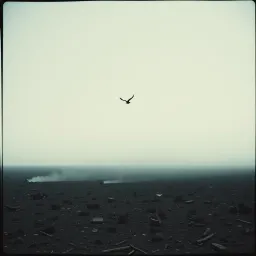Без тебя
