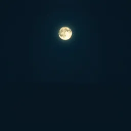 Kimi no kage