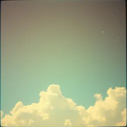 星光里的她 (She in the Starlight)