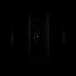 Bliss in the Shadows (Solo)