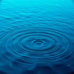 Bassquake in the Rain