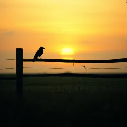 Low Light Hymn