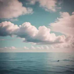 Into the Clouds