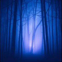The calling