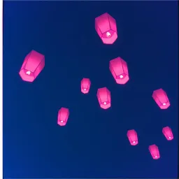 Seek • Akadion