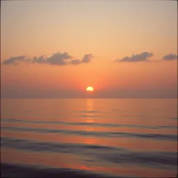 Rise Above the Storm