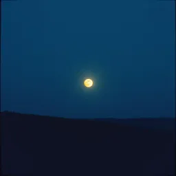 Silent Moon