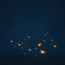 Whispers Under the Stars