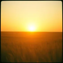Chasin’ The Sun