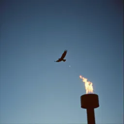 Freedom's Cry