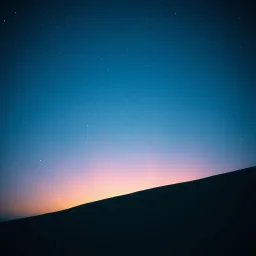 什麼是