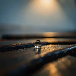 Rain