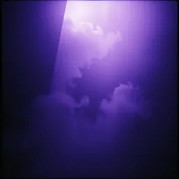 Veil of Shadows