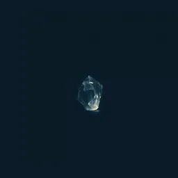 Lost in the Void