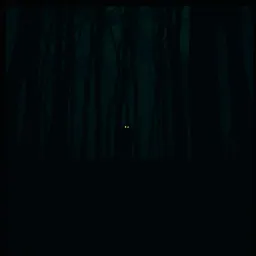 Into The Woods