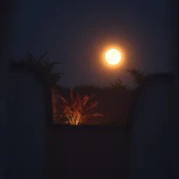 Mai Tera Hoon