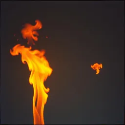 Burn It All (It's a Fire Jam)