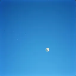 Gravity