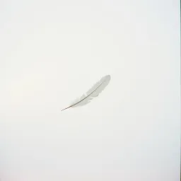 Goodbye Coming around