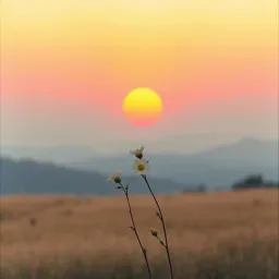 Heal Our Heartland