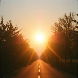 Sun in My Eyes