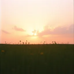 Light Comes Through