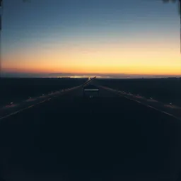 THE SPLIT LINE