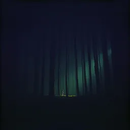 The Dark Inside Me