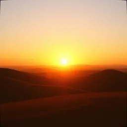 Stay