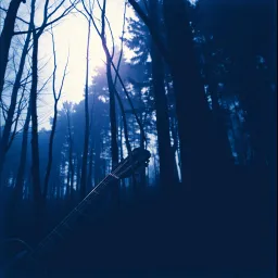 Shadows in the Strings
