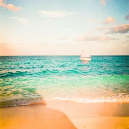 Endless Summer Vibes