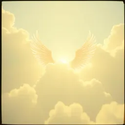 Angel Flight