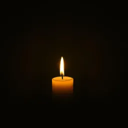 The First Flame