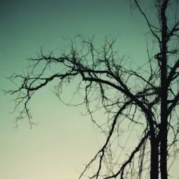 Love in the Shadows