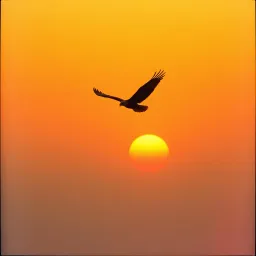 Soaring Beyond Limits