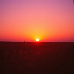 Sunset Glow