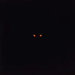 The Beast